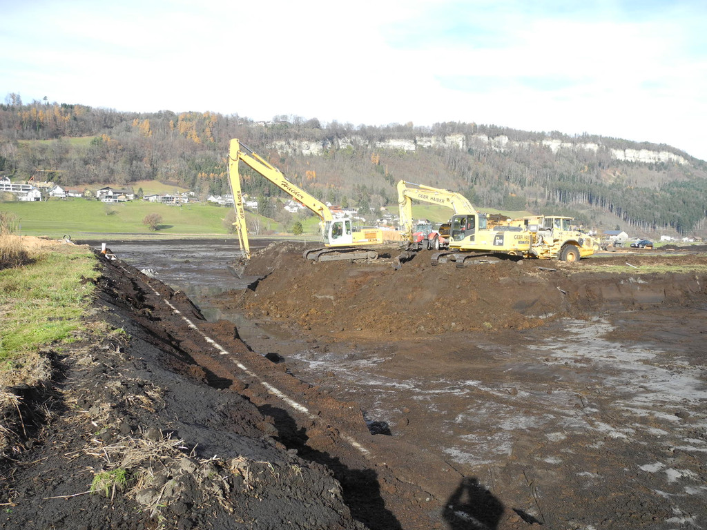 DSCN8155_jpg-1322815468