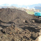 DSCN8162_JPG-1322815559