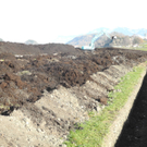 DSCN8158_JPG-1322815503