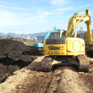 DSCN8163_jpg-1322815576