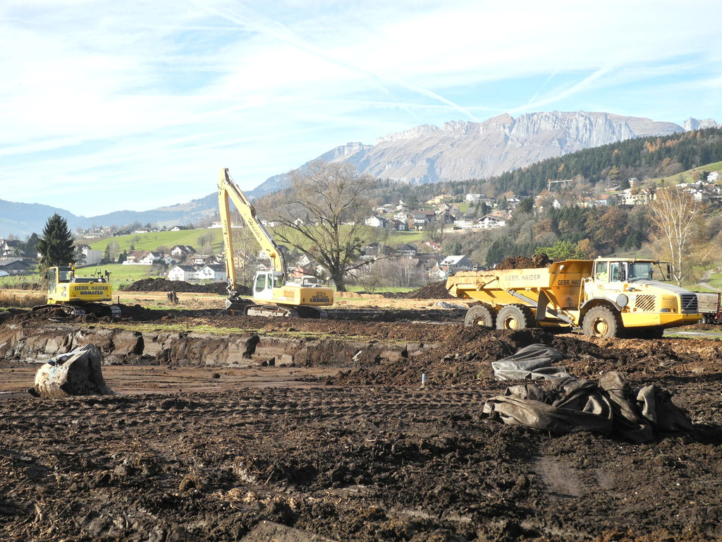 DSCN8164_jpg-1322815596