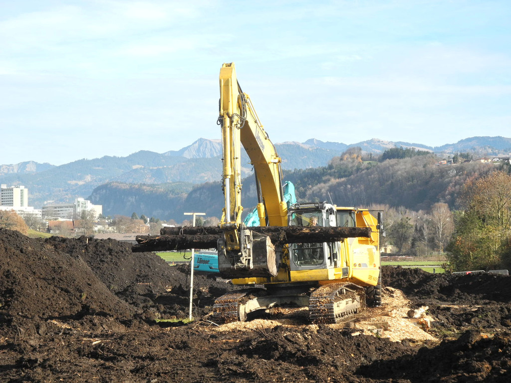 DSCN8165_jpg-1322815617