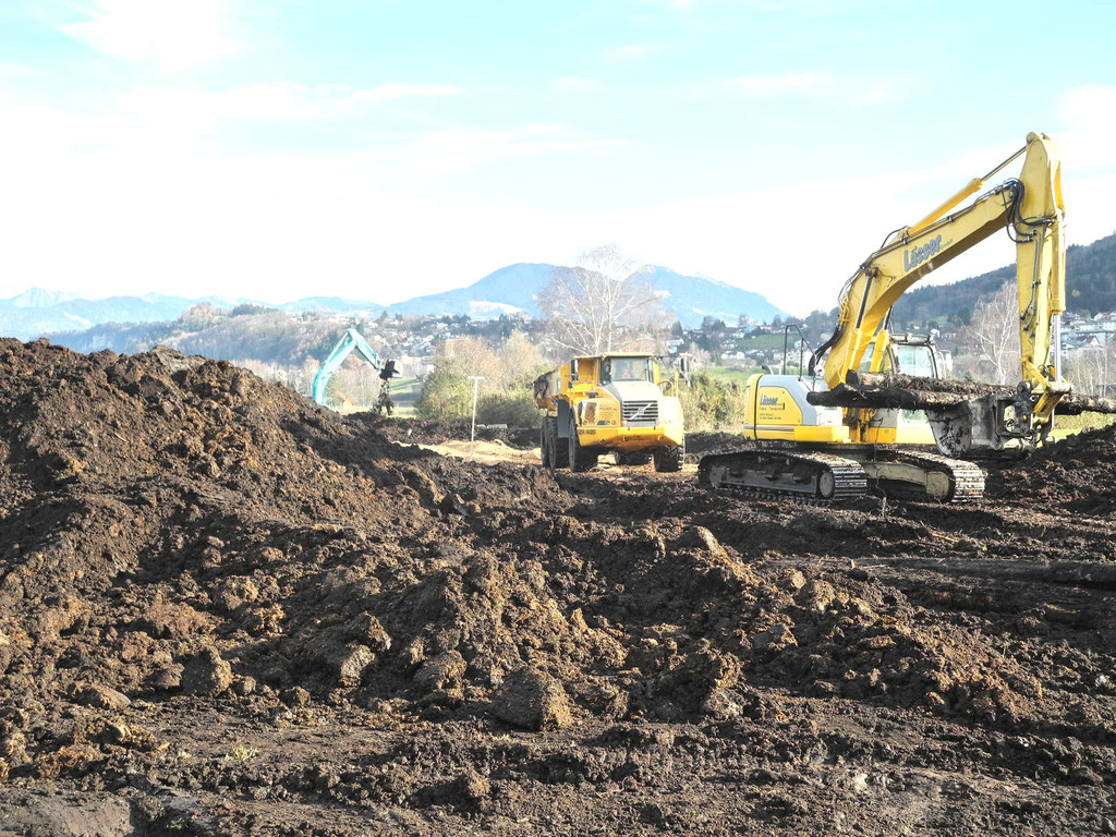 DSCN8166_jpg-1322815638