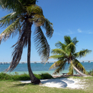 Florida: Winter-Blues Ade – Hallo Sommer-Feeling. Unter der Sonne Floridas lässt es sich wunderbar entspannt Weihnachten feiern.