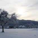 Gartenanlage und Frutz 09 069.jpg