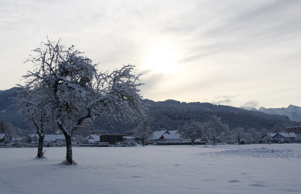 Gartenanlage und Frutz 09 069.jpg
