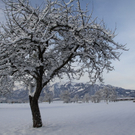 Gartenanlage und Frutz 09 071.jpg