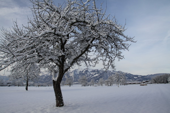 Gartenanlage und Frutz 09 071.jpg
