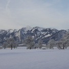 Gartenanlage und Frutz 09 074.jpg