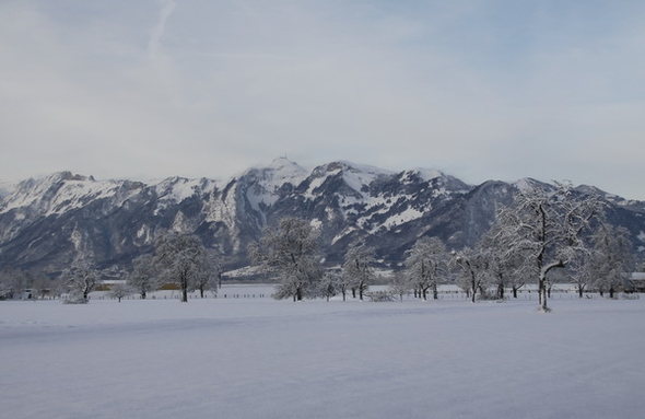 Gartenanlage und Frutz 09 074.jpg