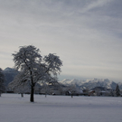 Gartenanlage und Frutz 09 081.jpg