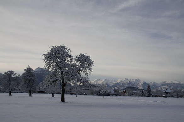 Gartenanlage und Frutz 09 081.jpg
