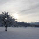 Gartenanlage und Frutz 09 084.jpg