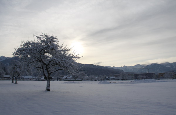 Gartenanlage und Frutz 09 084.jpg