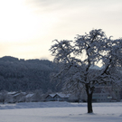 Gartenanlage und Frutz 09 106.jpg
