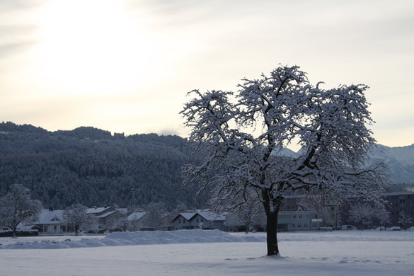 Gartenanlage und Frutz 09 106.jpg