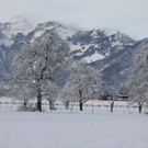 Gartenanlage und Frutz 09 109.jpg