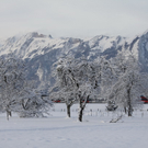 Gartenanlage und Frutz 09 125.jpg