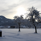 Gartenanlage und Frutz 09 147.jpg