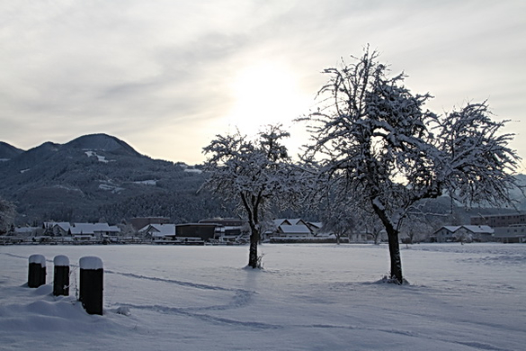 Gartenanlage und Frutz 09 147.jpg