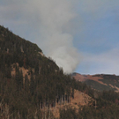 normal_021211waldbrandgmaktivnews011.JPG
