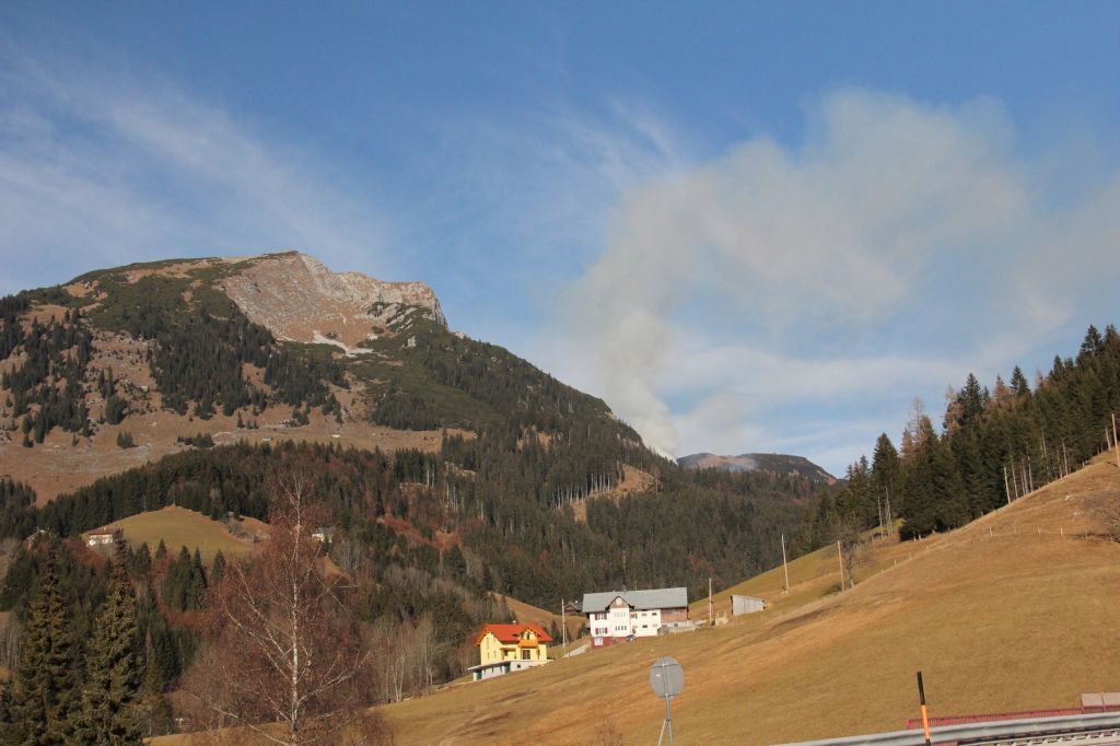 normal_021211waldbrandgmaktivnews013.JPG