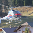 normal_021211waldbrandgmaktivnews025.JPG
