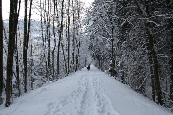 Gartenanlage und Frutz 09 164.jpg