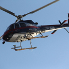 normal_021211waldbrandgmaktivnews084.JPG