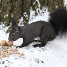 Gartenanlage und Frutz 09 204.jpg