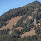 normal_021211waldbrandgmaktivnews113.JPG