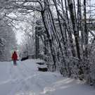 Gartenanlage und Frutz 09 287.jpg