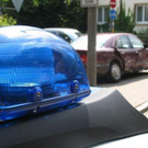 3609564_1_Polizeiauto007.jpg