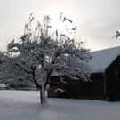 Gartenanlage und Frutz 09 348.jpg