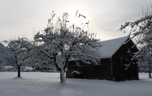 Gartenanlage und Frutz 09 348.jpg