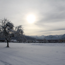 Gartenanlage und Frutz 09 372.jpg