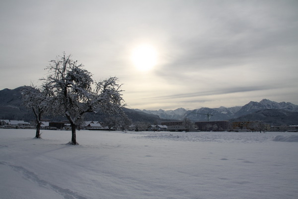 Gartenanlage und Frutz 09 372.jpg