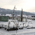 Gartenanlage und Frutz 09 426.jpg