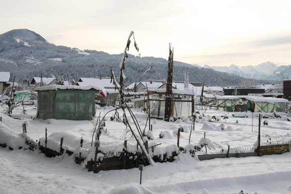 Gartenanlage und Frutz 09 426.jpg