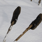 Gartenanlage und Frutz 09 433.jpg