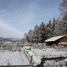 Gartenanlage und Frutz 09 514.jpg