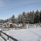 Gartenanlage und Frutz 09 522.jpg
