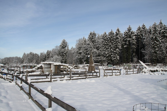 Gartenanlage und Frutz 09 522.jpg