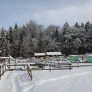 Gartenanlage und Frutz 09 529.jpg