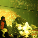 normal_02122011fmt_akt1_fm_31.jpg