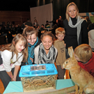 Naturerleben H__chst 01_12_2011 39_jpg-1322925098