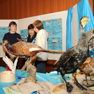 Naturerleben H__chst 01_12_2011 41_jpg-1322925112