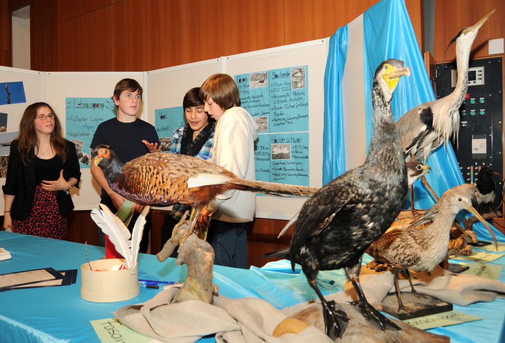 Naturerleben H__chst 01_12_2011 41_jpg-1322925112