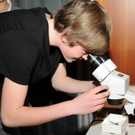Naturerleben H__chst 01_12_2011 43_jpg-1322925121