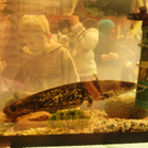 Naturerleben H__chst 01_12_2011 46_jpg-1322925133